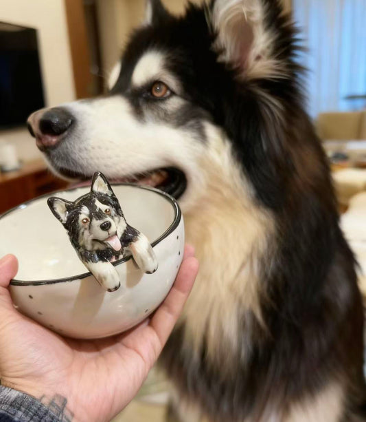 Customized pet cups